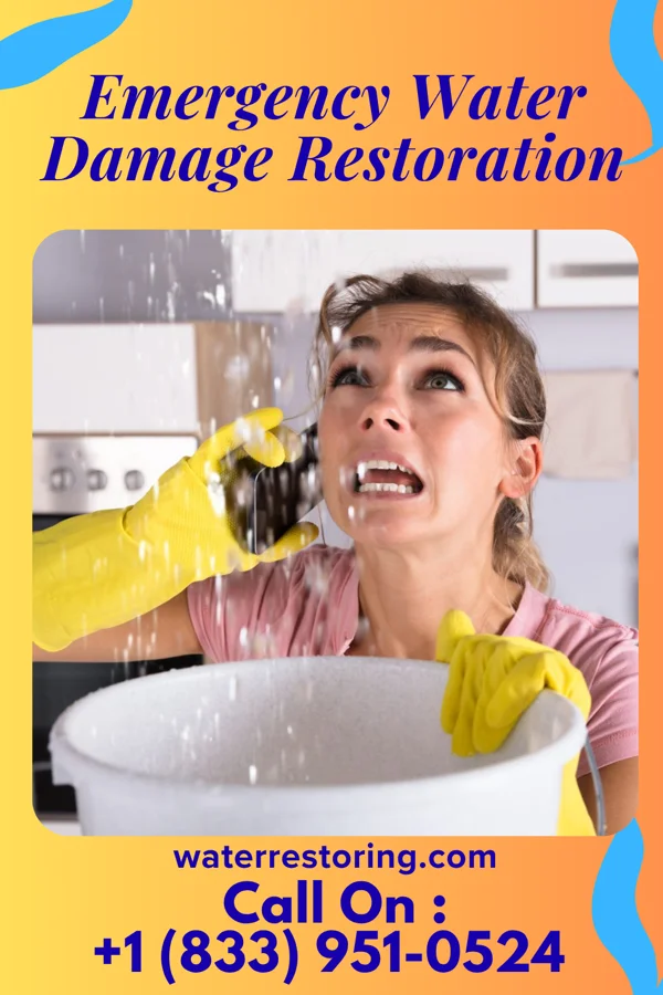 Emergency Water Damage Restoration in Dresden, TN